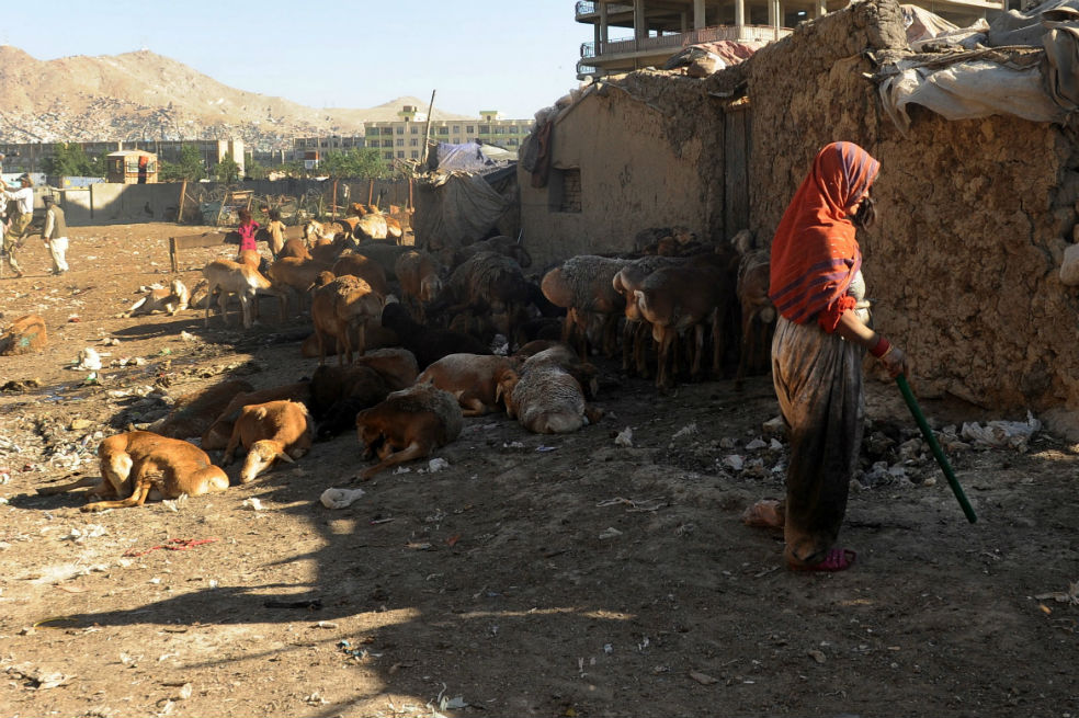Desplazados por la guerra interna en Kabul, capital de Afganistán. / EFE