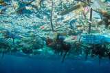 Detectan microplásticos en un lago de agua dulce del Ártico