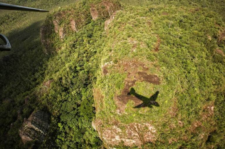 Lecciones de vuelo
