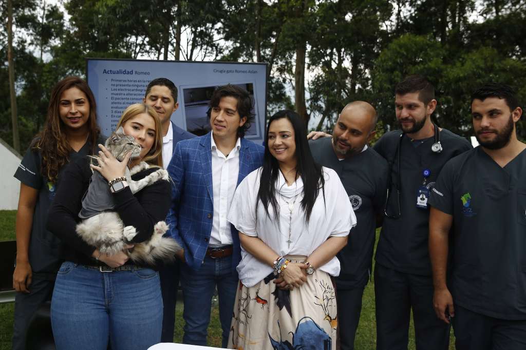 MED110. MEDELLÍN (COLOMBIA), 07/02/2020. -El equipo médico posa para una fotografía junto a Romeo, un gato de raza Maine Coon, este viernes durante una rueda de prensa en Medellín (Colombia), en la que se dio a conocer la cirugía de implantación de un marcapasos a un gato por primera vez en Colombia. EFE/Luis Eduardo Noriega