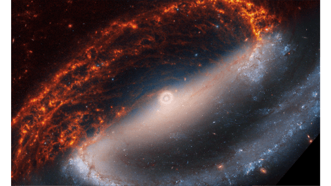 Las sorprendentes imágenes de 19 galaxias espirales capturadas por el James Webb