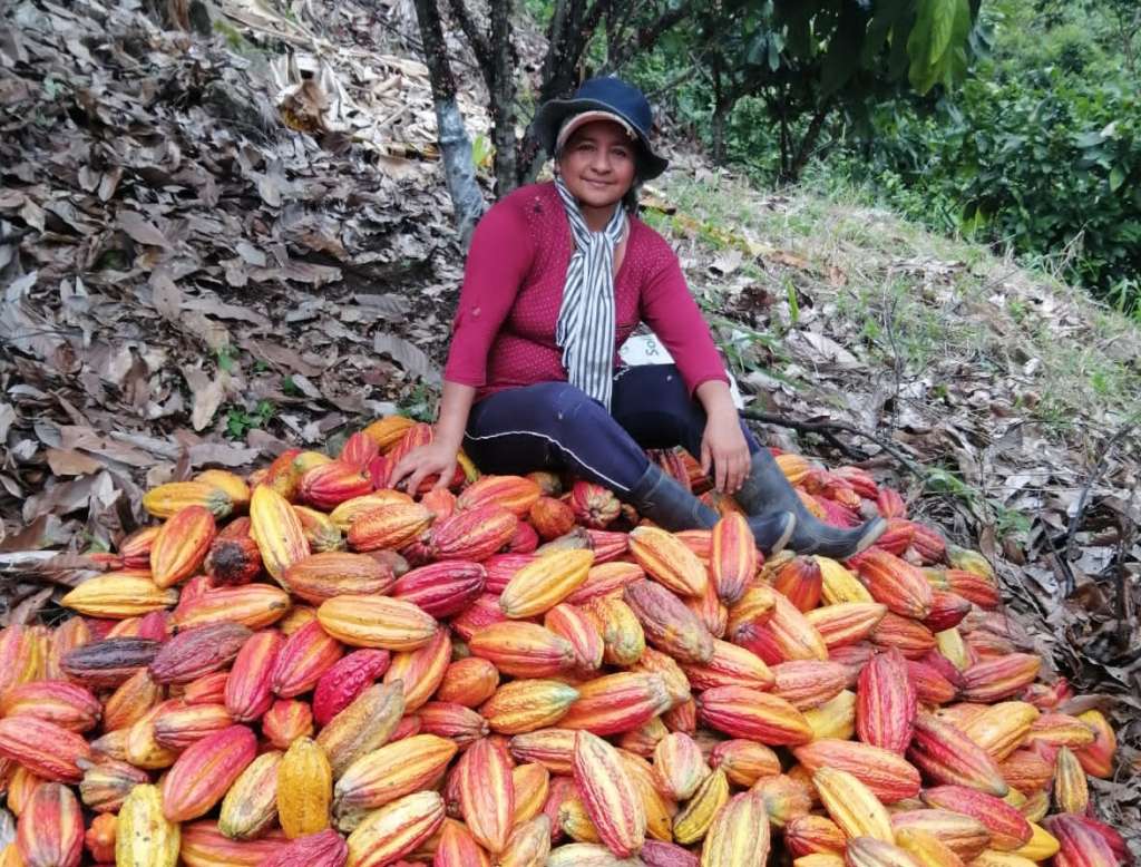 Caquetá, un departamento amazónico más allá de la violencia.
