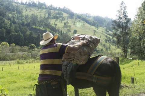 El último arriero de Cajamarca (Crónica)