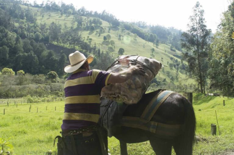El último arriero de Cajamarca (Crónica)