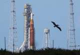 Artemis 2: ¿Dónde ver hoy en vivo y a qué hora el regreso de los cuatro astronautas?