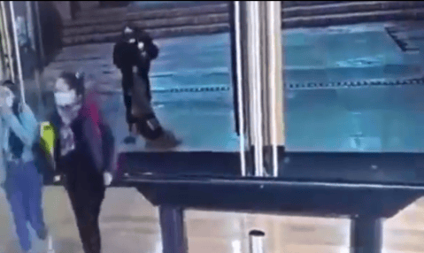 Esta fue la respuesta del Centro Comercial Andino a denuncias por maltrato animal