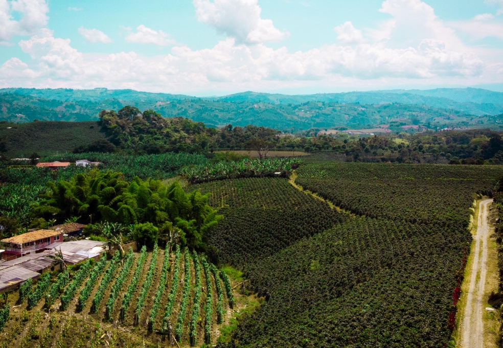 Eje Cafetero