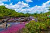 Caño Cristales reabre sus puertas al ecoturismo
