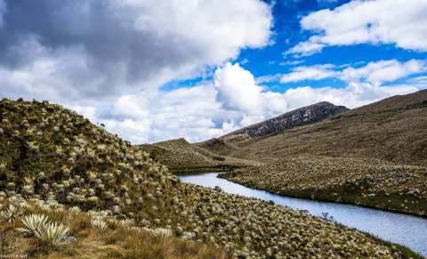 Legislar para conservar, energías renovables y un vistazo al pasado para pensar a futuro