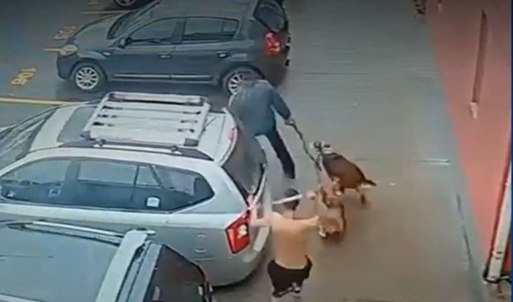 Ataque a vecinos y perros en Bogotá