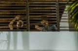 ¿Un “Argo criollo” en Venezuela? Duelo de narrativas sobre los rehenes opositores