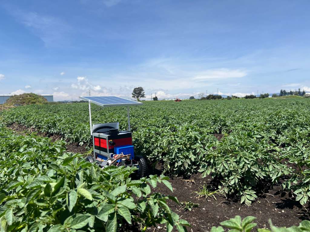 Un robot colombiano busca cambiar la forma en que se cultiva la papa