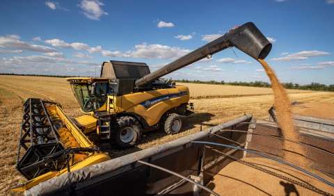 Nueva alza de los precios de alimentos en septiembre, según la FAO