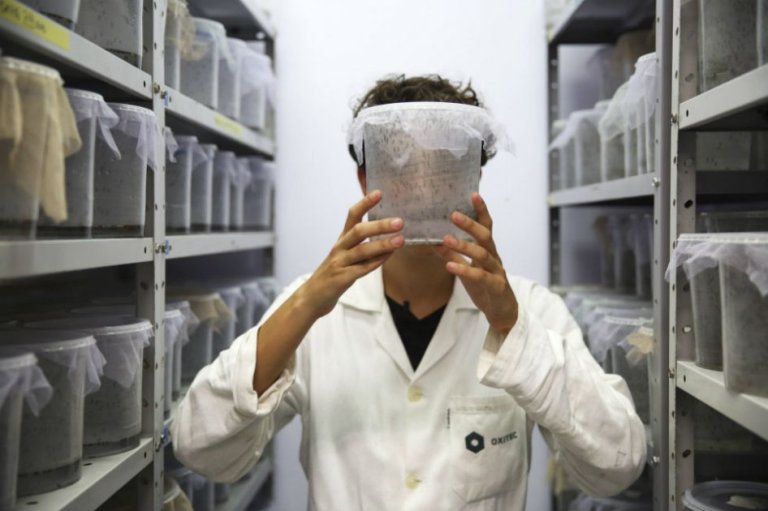 Francia restringe donaciones de sangre de viajeros de zonas con zika