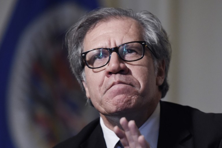 OEA aplaude que se retomen diálogos con el Eln