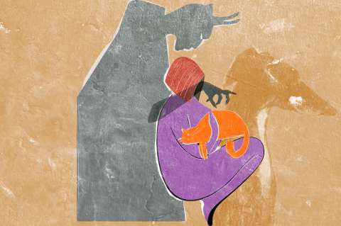 Cuando el maltrato animal se convierte en mecanismo de violencia doméstica