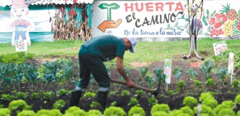 Rutas agroecológicas, nueva apuesta turística en Bogotá