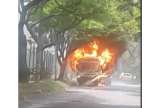Conductores de bus de Medellín evalúan levantar paro este miércoles