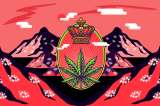 El pesebre de marihuana que crece en el norte del Cauca