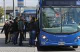 ¿Cuándo se pierde el derecho al auxilio de transporte en 2025? Revise estos casos