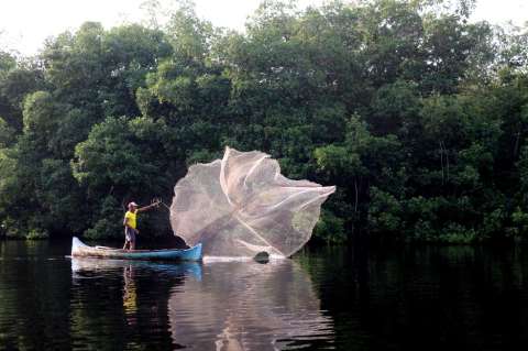 Inscríbase: becas para tesis de pregrado y maestría sobre biodiversidad colombiana