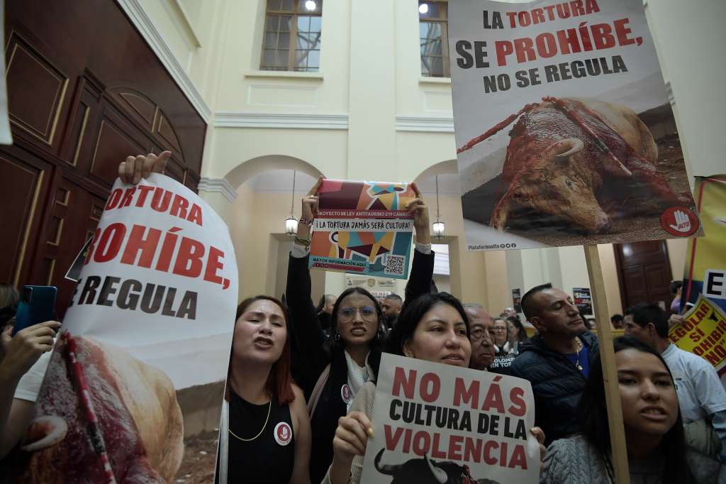 Debate en el congreso del proyecto de Ley No. 219 de 2023 Cámara y 298 de 2023 Senado, que busca prohibir la corridas de toros en el país.