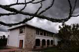 Hacienda Yerbabuena: tesoro ambiental y cultural de La Sabana