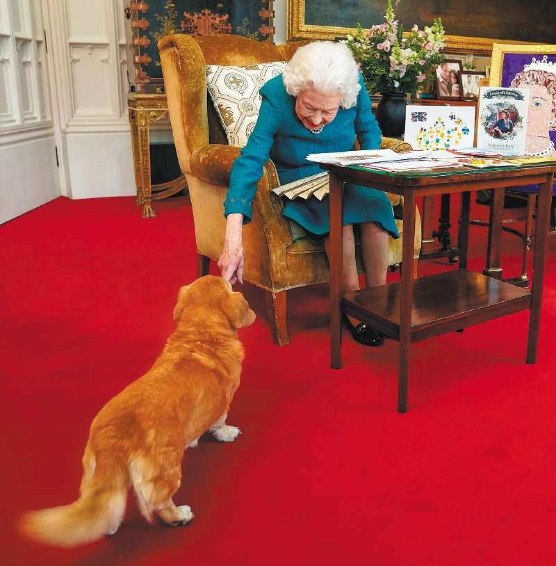 Foto tomada el 4 de febrero, la reina Isabel II con Candy. (Photo by Steve Parsons / POOL / AFP)