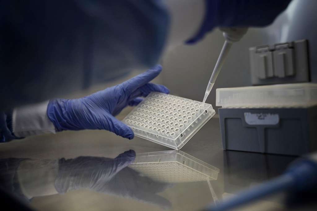 Mientras en el mundo existen dos linajes o “variantes genéticas” del virus, en Colombia existen 12 sublinajes, es decir que el virus que infecta a los colombianos no es el mismo que en otros países.