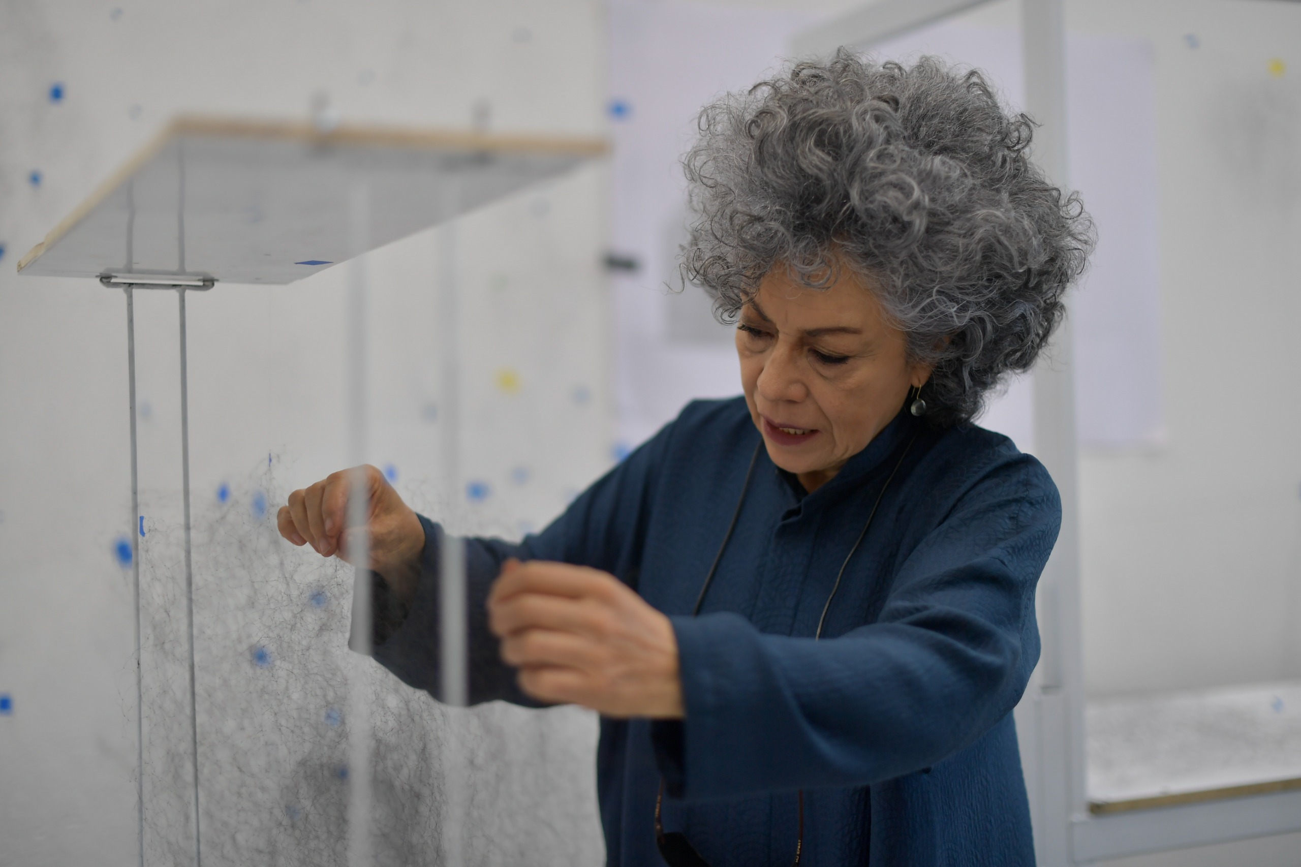 Doris Salcedo