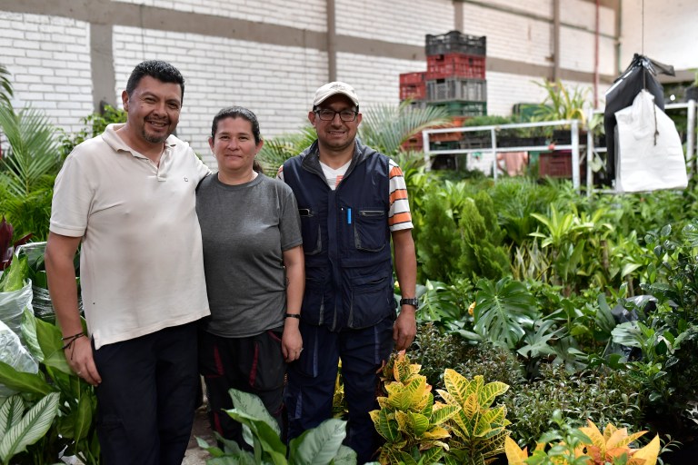 El mercado inició en Plaza España, pero a lo largo de los años se ha movido a diferentes zonas de la localidad de los Mártires.