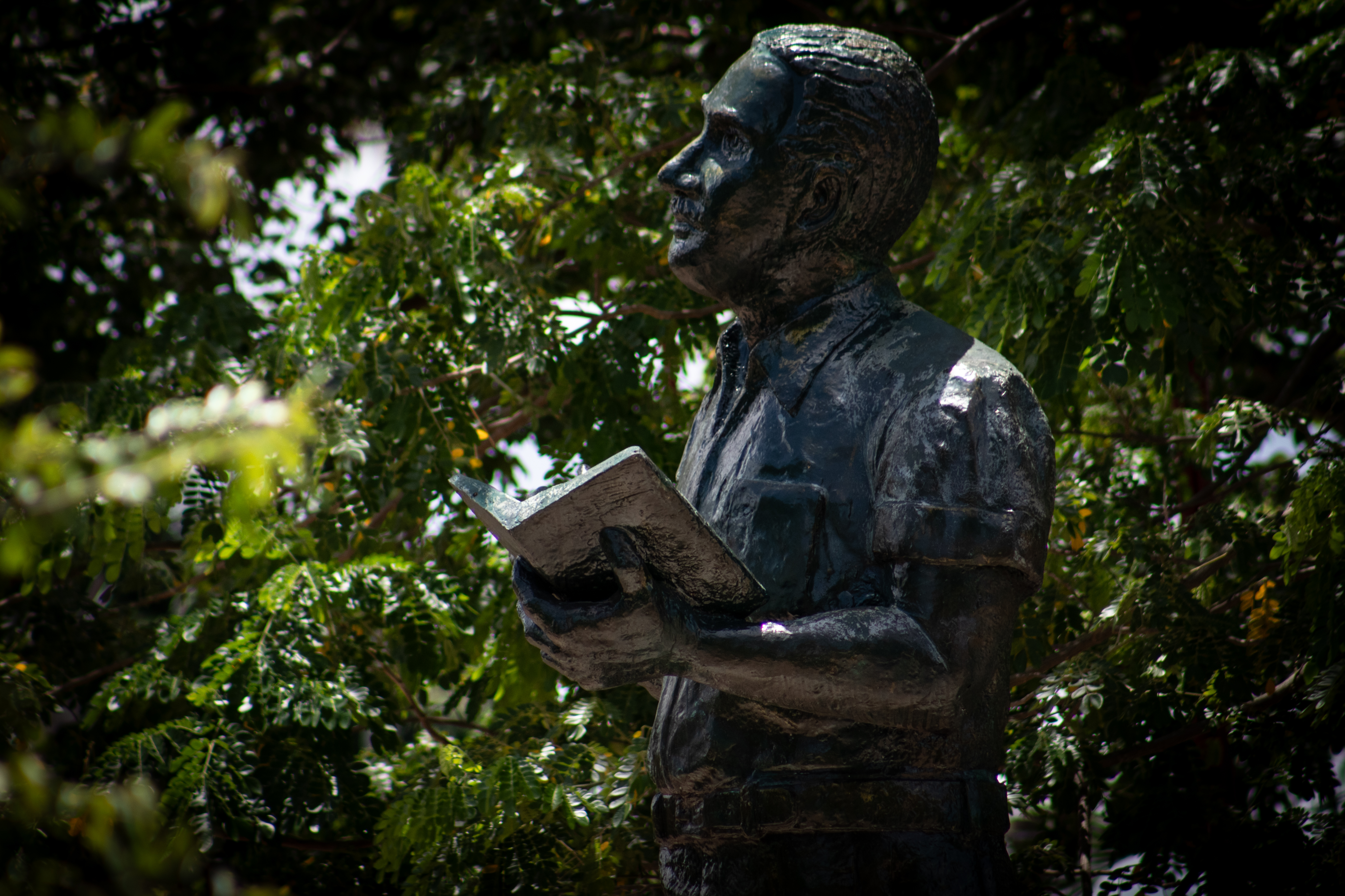 La obra cumbre de José Eustacio Rivera fue "La vorágine".