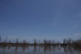 Baltazar (Cuentos de sábado en la tarde)