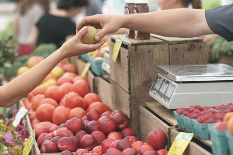 Entregarán 50.000 mercados para población vulnerable en Valledupar