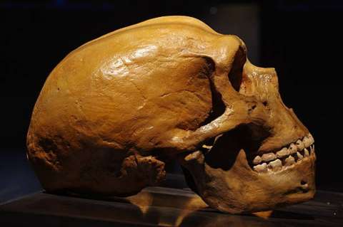 Los neandertales estuvieron en la Península Ibérica más tiempo del que se creía