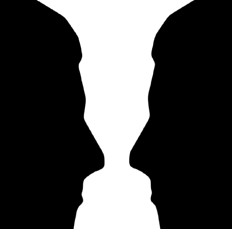 Mitos y verdades sobre el cerebro