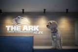El aeropuerto JFK: un paraíso para los animales que vuelan a Nueva York
