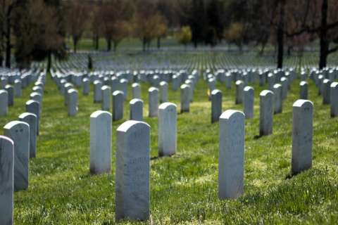 La hidrólisis alcalina, una forma de morir ecológicamente
