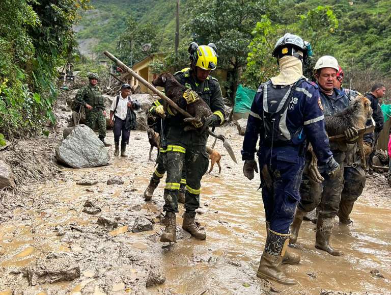 AME3917. QUETAME (COLOMBIA), 18/07/2023.- Fotografía cedida por la Policía Nacional de Colombia que muestra a miembros de organismos de rescate en la zona donde ocurrió una avalancha en Quetame, Cundinamarca (Colombia). Al menos seis personas muertas, seis heridos y varios desaparecidos dejó una avalancha de barro y agua ocurrida en la localidad de Quetame, en el departamento colombiano de Cundinamarca, situado en el centro del país, tras las fuertes lluvias del lunes, informaron este martes fuentes oficiales.EFE/ Policía De Colombia / SOLO USO EDITORIAL/ SOLO DISPONIBLE PARA ILUSTRAR LA NOTICIA QUE ACOMPAÑA (CRÉDITO OBLIGATORIO) MÁXIMA CALIDAD DISPONIBLE