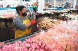 Colombia exporta cerca de 650 millones de tallos de flores por el Día de la Madre