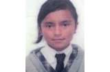 Niña se habría suicidado tras perder el año