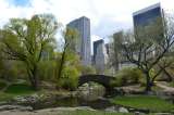 La polémica estatua de un ginecólogo que fue retirada del Central Park