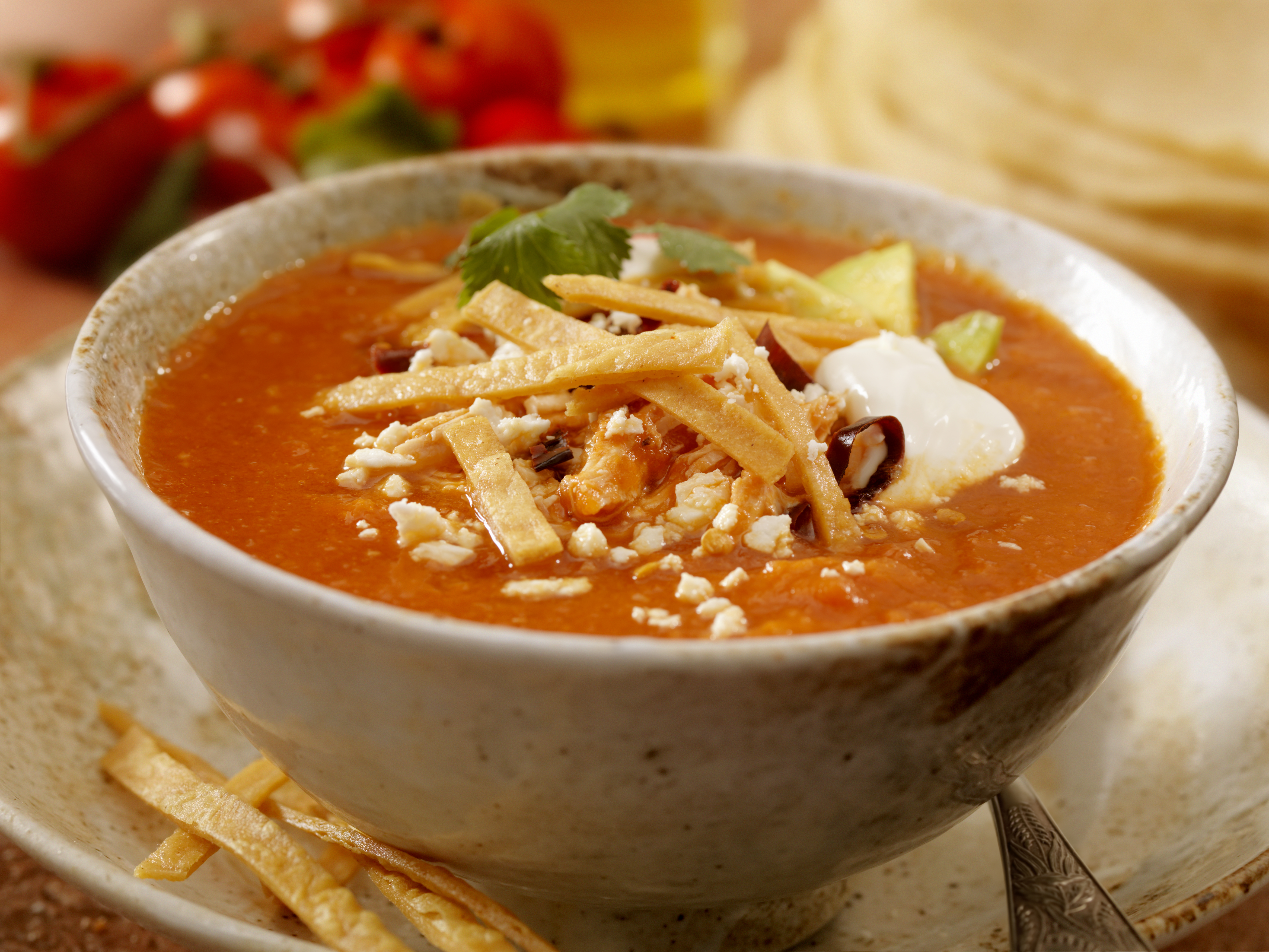 Sopa mexicana