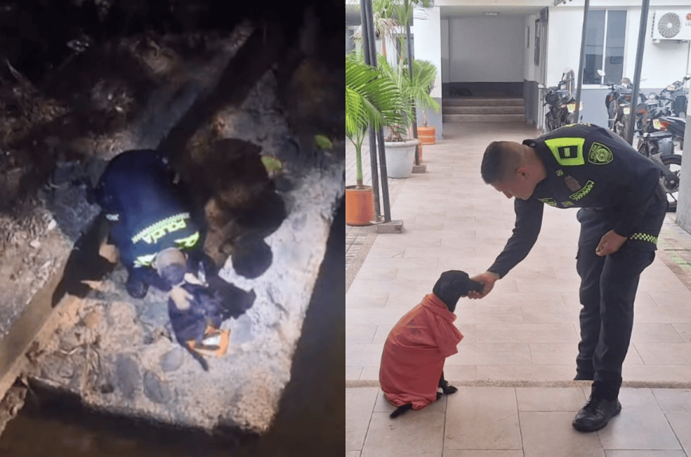 Policía rescata a un perro abandonado debajo de un puente en Melgar