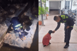 (Video) Policía rescata a un perrito abandonado debajo de un puente en Melgar