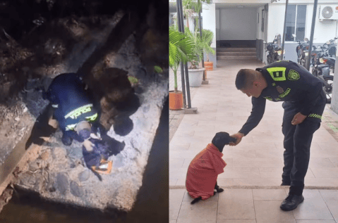 (Video) Policía rescata a un perrito abandonado debajo de un puente en Melgar