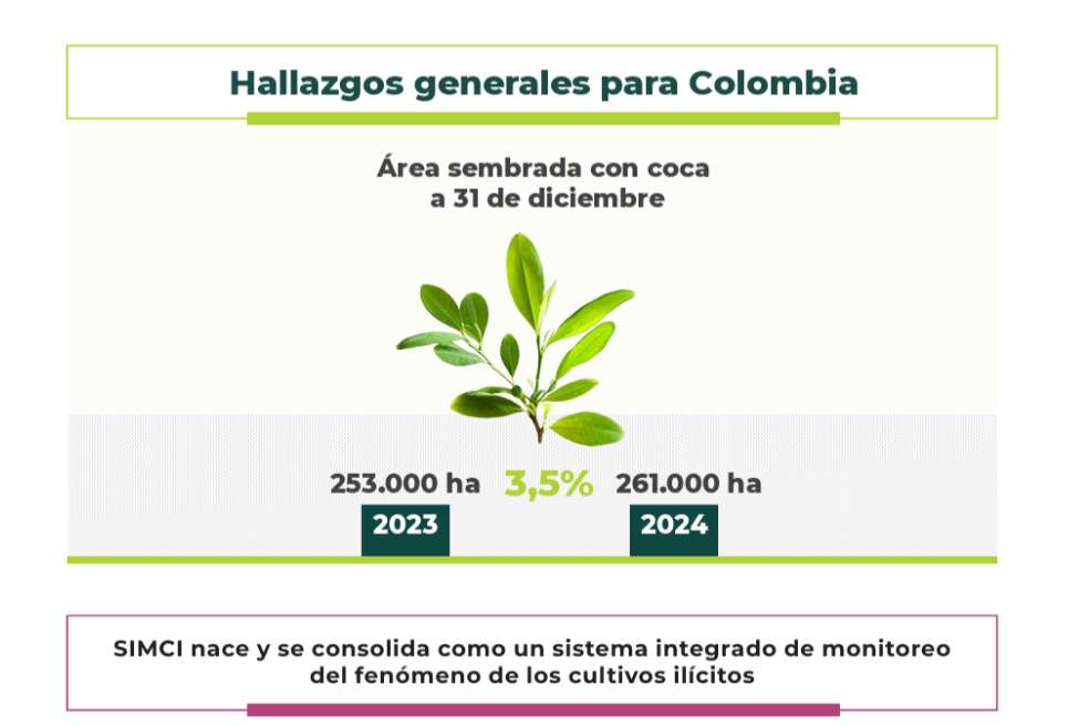 El informe que Petro cuestionó confirma nuevo aumento de los cultivos de coca