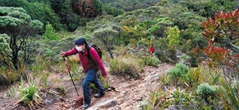 Turismo rural, una forma de apoyar la recuperación económica