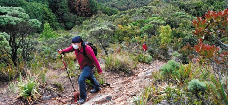 Turismo rural, una forma de apoyar la recuperación económica