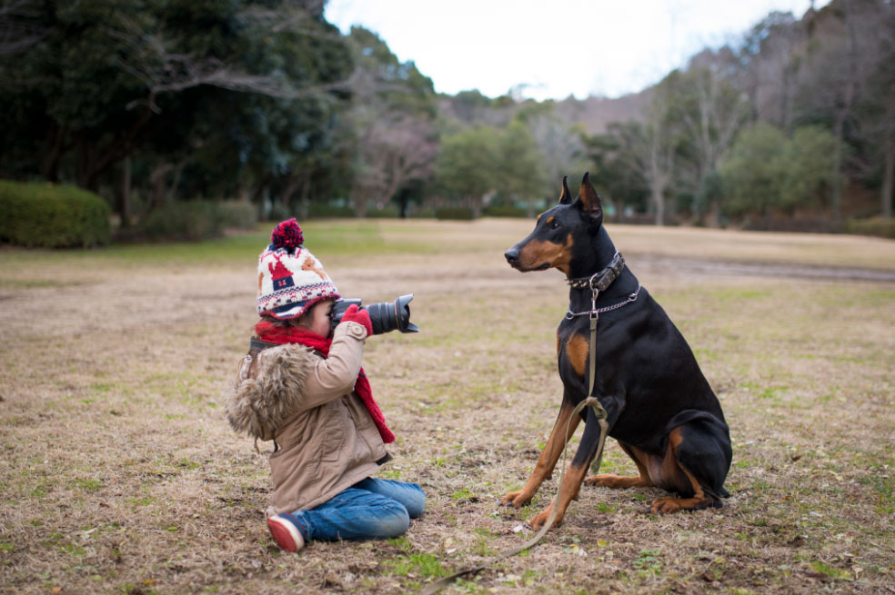 ¿Por qué los Dóberman son la raza de perros ideal para los niños?